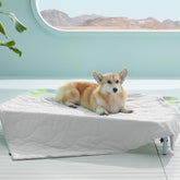 Bedsure cooling blanket on sofa cools pets during lounge time.