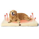 Bedsure self-warming dog bed large, top view, cozy warmth for winter naps
