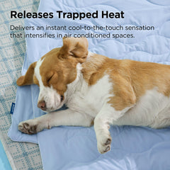Bedsure soft plush interior close-up highlighting cozy hug