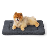 Bedsure washable dog crate bed with soft-foam surface for cozy support during crate time