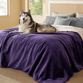 Bedsure waterproof blanket on bed with Sherpa side for warmth.