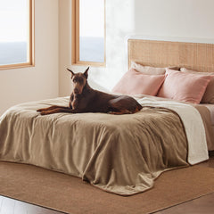 Bedsure waterproof blanket with Sherpa side for cozy warmth on camel furniture