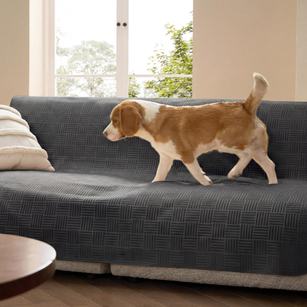 Bedsure waterproof couch cover on sofa protects upholstery from spills and pet accidents.