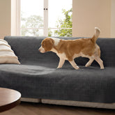 Bedsure waterproof couch cover on sofa protects upholstery from spills and pet accidents.