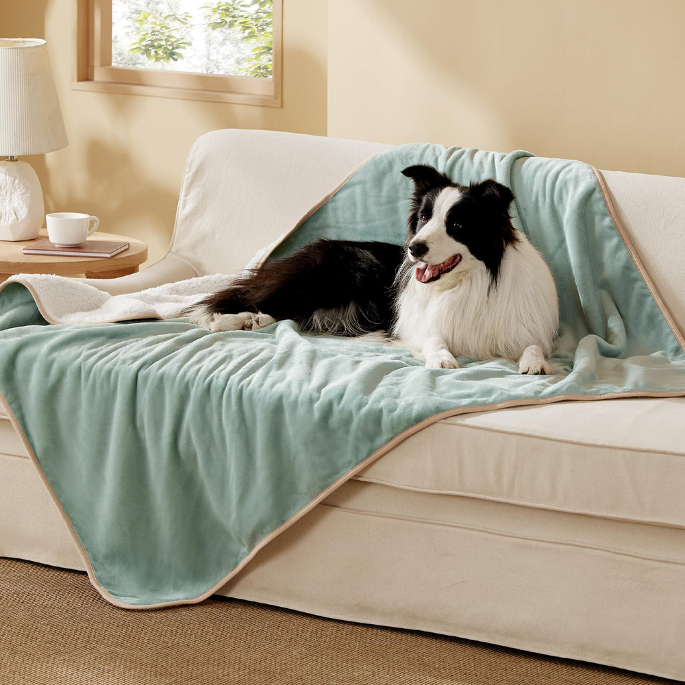 Bedsure waterproof dog blanket in light green protects furniture from spills.