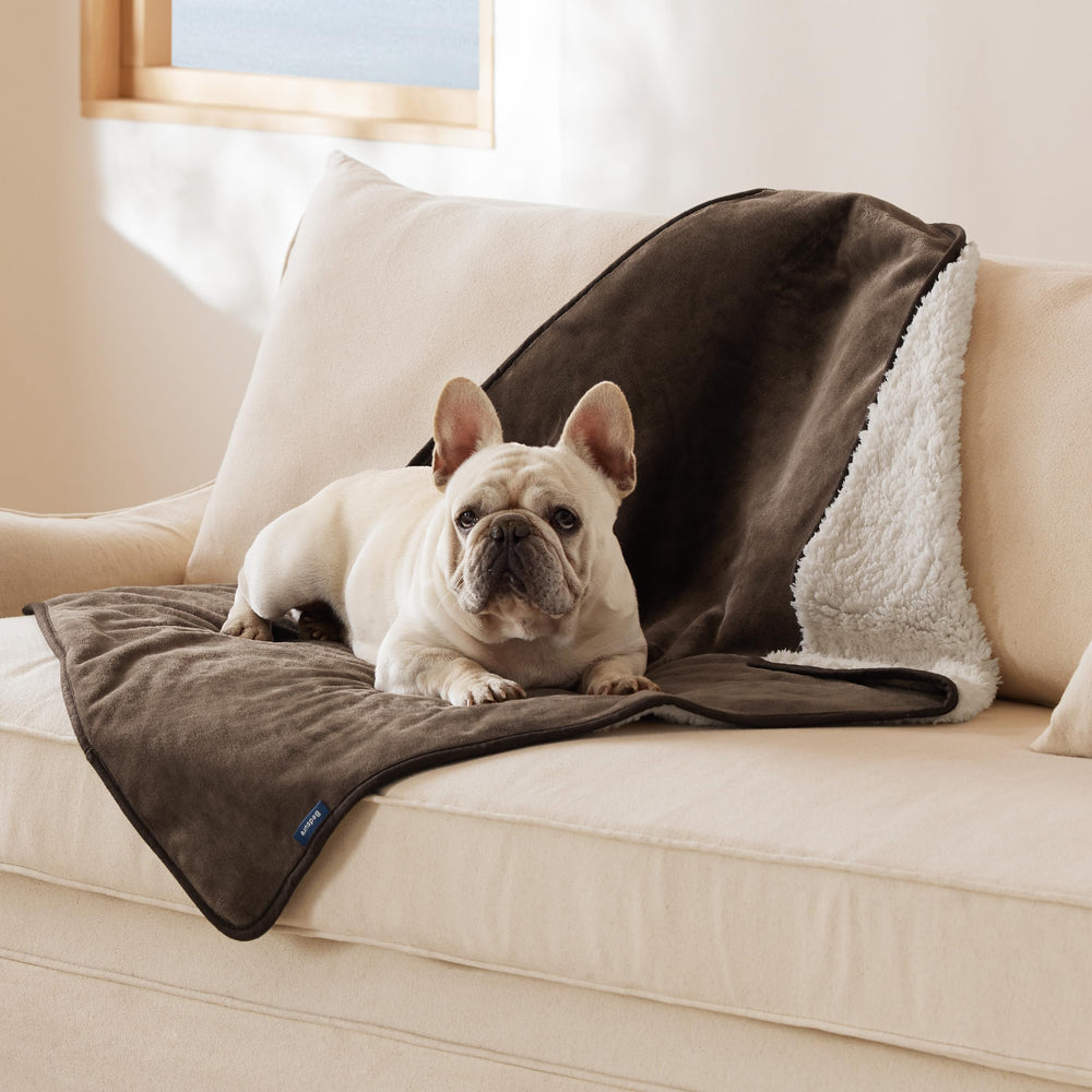 Bedsure waterproof dog blanket in coffee brown 30x40 protects furniture