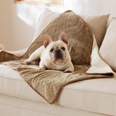 Bedsure waterproof dog blanket on couch protecting upholstery from spills