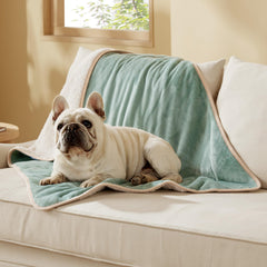 Bedsure waterproof dog blanket on sofa protects upholstery from spills and hair