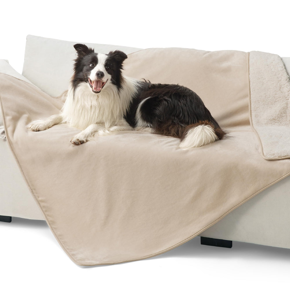 Bedsure waterproof XL dog blanket protecting couch from spills and moisture