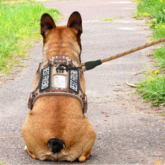 Beebiepet desert camo harness with four-point adjustment and easy-on chest panel