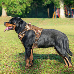 Beebiepet four-point adjustment feature enables easy wear