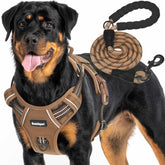 Beebiepet heavy-duty harness front view shows rugged construction for large dogs