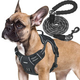 Beebiepet heavy-duty harness side view showing Molle strips for gear.