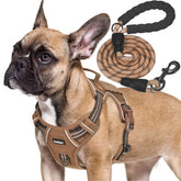 Beebiepet heavy-duty harness side view highlighting durable build and secure fit for powerful dogs.