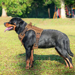 Beebiepet Heavy Duty Tactical Harness side view showing adjustable straps for a secure fit