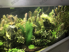 Five-leaf-per-piece BEGONDIS silk plants offer realistic hiding spots for fish.