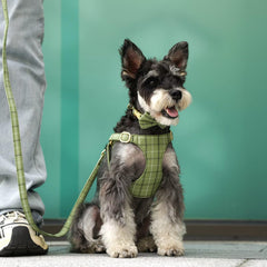 Beirui leash and collar set in plaid, 5ft, breathable material