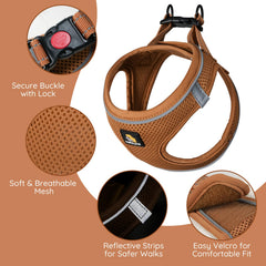 BELLA & PAL breathable air mesh keeps small dogs cool during walks.