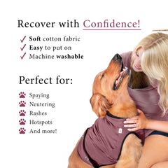 BellyGuard dog post-op suit easy-on-off design for quick changes.