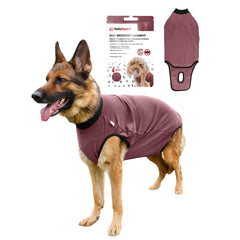 BellyGuard dog surgery recovery suit front view protects stitches and promotes comfort.