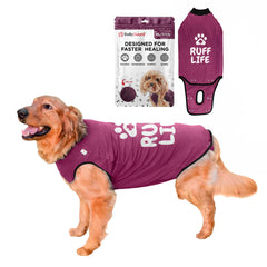BellyGuard dog surgery recovery suit front view shows protective comfort post-op