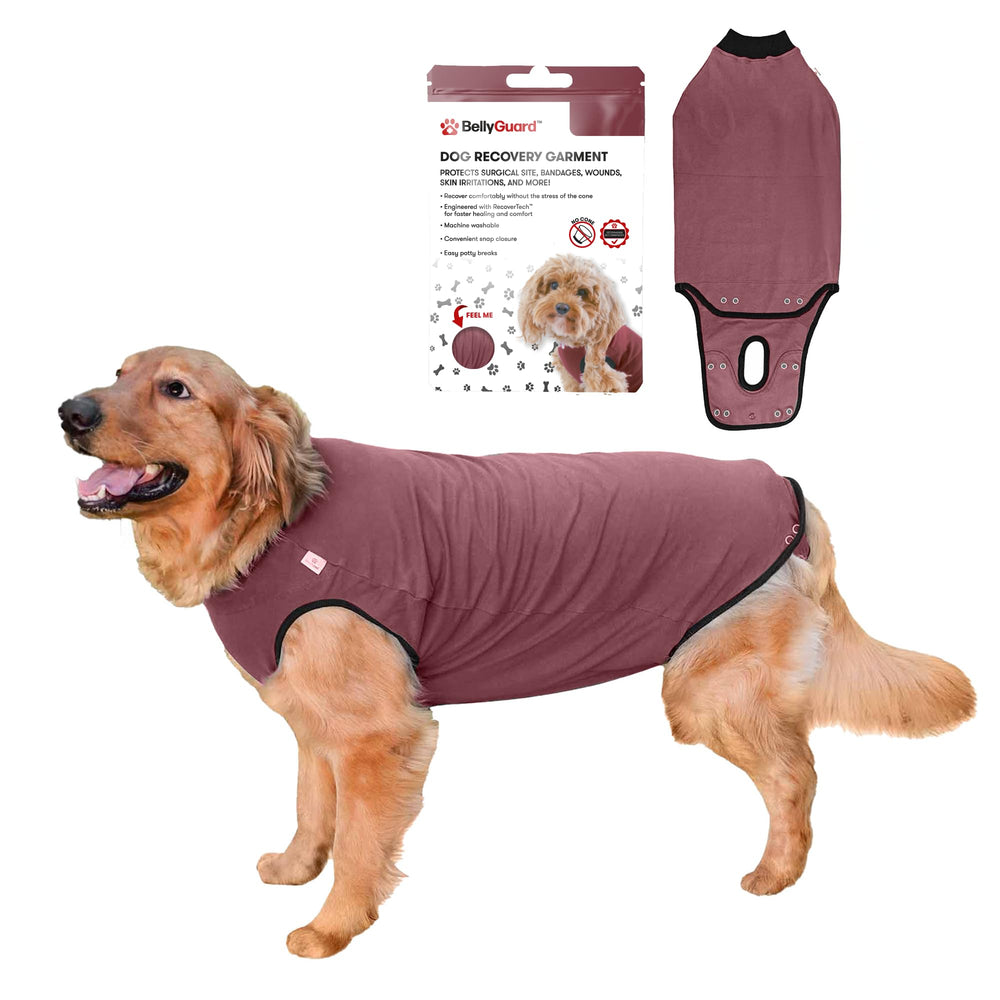 BellyGuard dog surgery recovery suit front view, comfortable post-op healing fit.