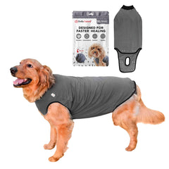 BellyGuard dog surgery recovery suit overview showing post op coverage protecting stitches while keeping dogs mobile