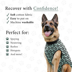 BellyGuard recovery suit snap closure aligns easily for quick secure fitting