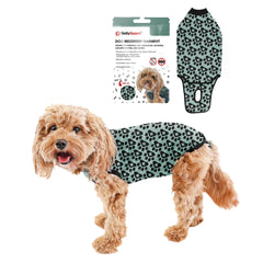 BellyGuard recovery suit in soft material for post-op comfort.