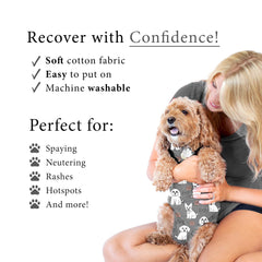 Dog wearing BellyGuard recovery suit during post-op rest.