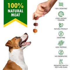 Beloved Pets kabob action: dog chewing for long-lasting entertainment.