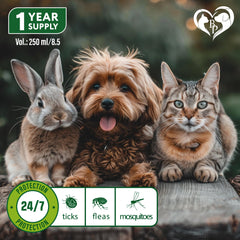Beloved Pets flea tick spray protects dogs and cats safely