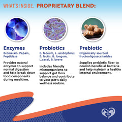 Beloved Pets probiotics daily-use shot demonstrates convenient dosing for busy households.