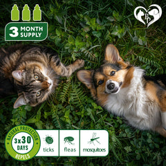 Spot-On being applied on a small dog for fast flea and tick control.