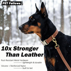 Ben & Fellows waterproof odor-proof dog collar buckle detail for muddy adventures.
