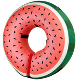 BENCMATE Watermelom inflatable cone worn by a dog showing comfortable wear and clear vision