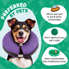 BENCMATE protective cone post-surgery use helps prevent self-trauma