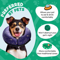 BENCMATE protective e-collar helps prevent licking while healing
