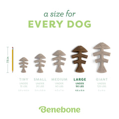 Long-lasting design helps keep dogs engaged, reducing destructive boredom.