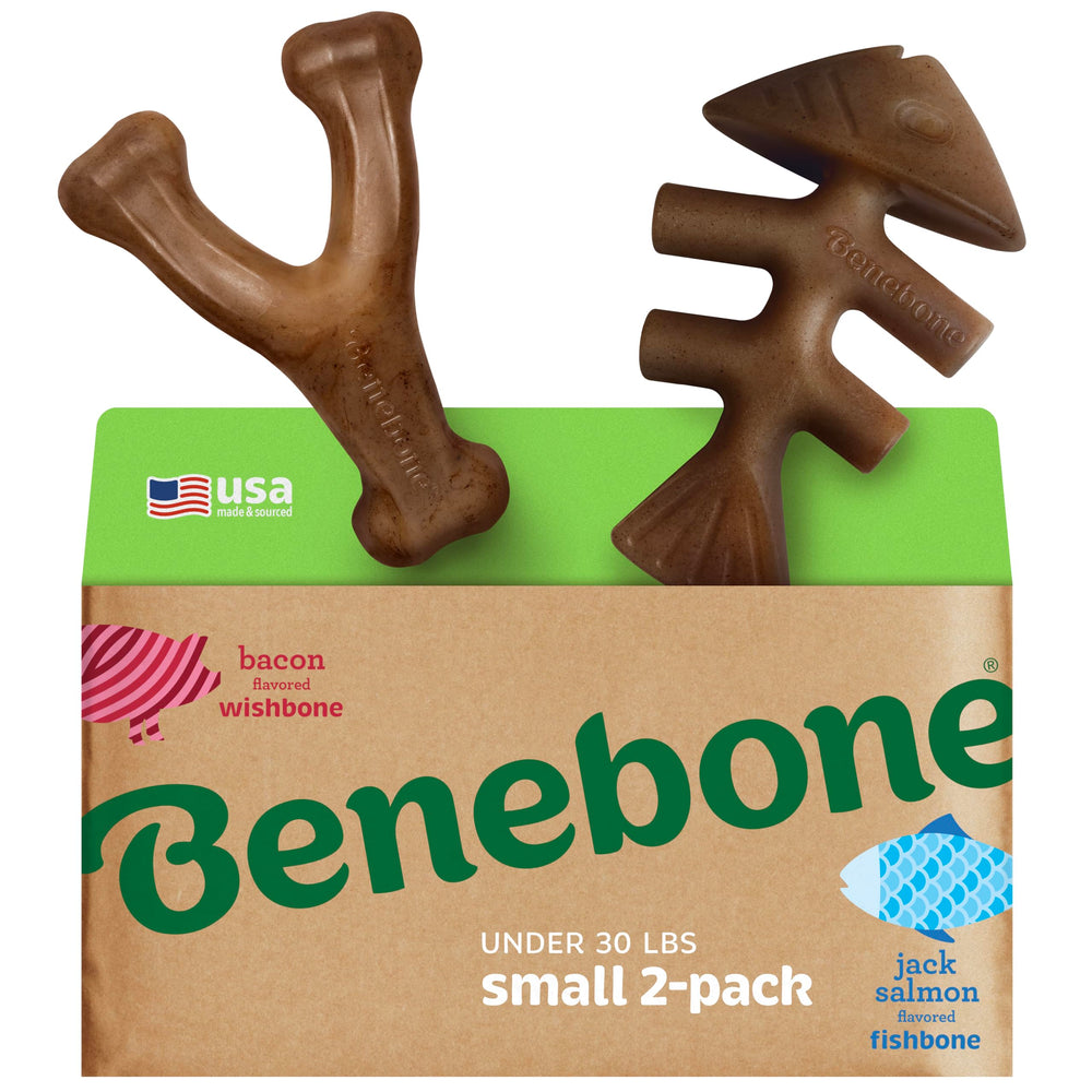 Benebone Fishbone with real salmon chew engages dogs during play