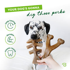 Benebone Fishbone with real salmon flavor engages scent and chewing cues