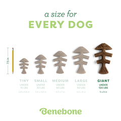 Benebone Fishbone curved paw-friendly shape aids grip for dogs.