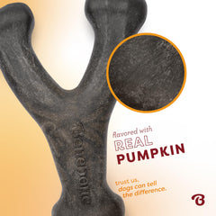 Durable nylon construction Benebone Pumpkin Spice Wishbone made in USA for aggressive chewers.