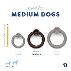 Benebone Ring Blueberry made in USA, showcasing quality craftsmanship