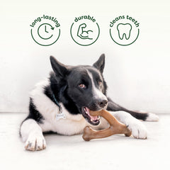 Benebone Rubber Bone Medium durable chew surface for long-lasting play