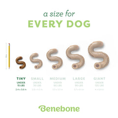 Curved paw-friendly design of Benebone Tiny Tripe Bone Chew.