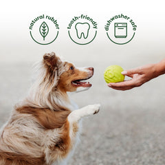 Benebone Wishbone image: Bacon-flavored nylon chew offering tasty scent and satisfying bite.