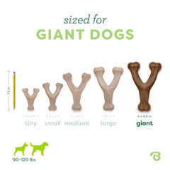 Benebone Wishbone paw-friendly grip helps dogs grab and chew comfortably.
