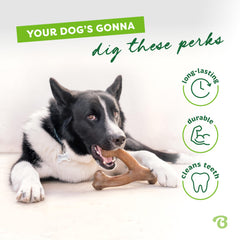 Benebone Wishbone peanut butter chew highlighting savory flavor and dental-friendly action