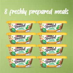 Beneful Chicken Stew β tender chunks in gravy highlighting wholesome ingredients
